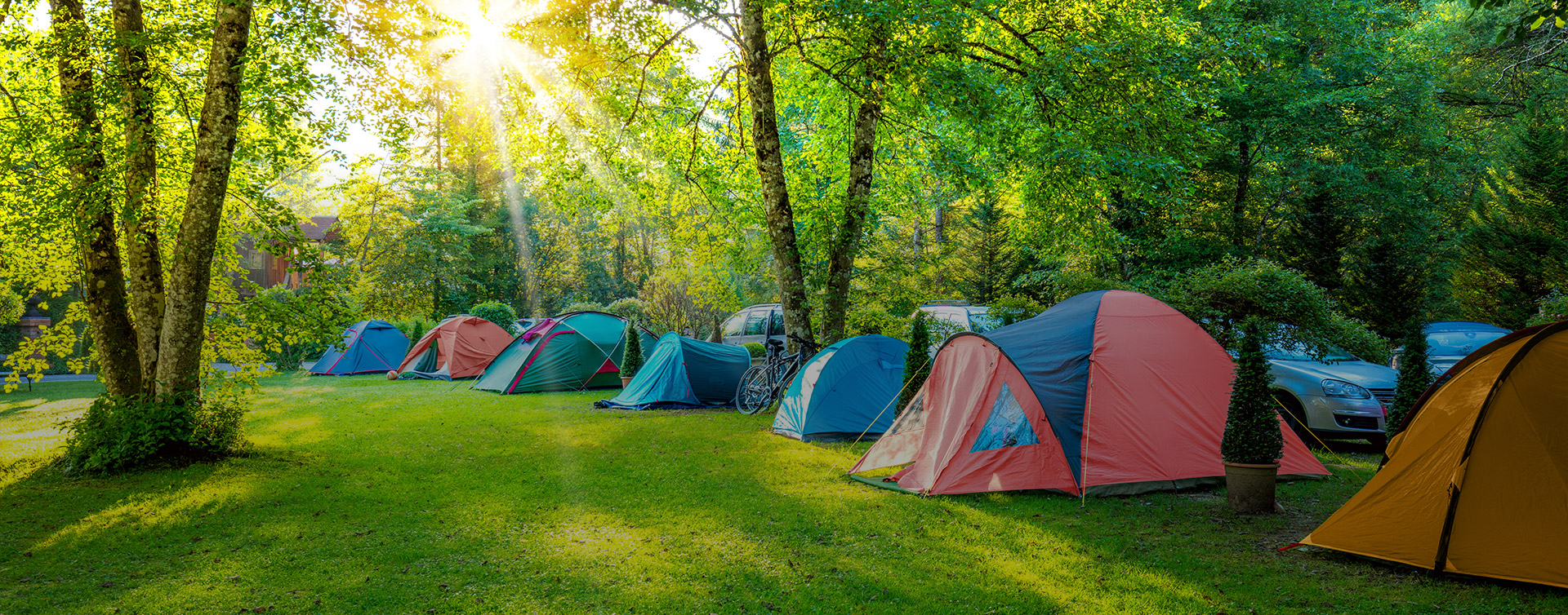 Camping el Pino